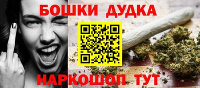 прущие грибы Новокубанск