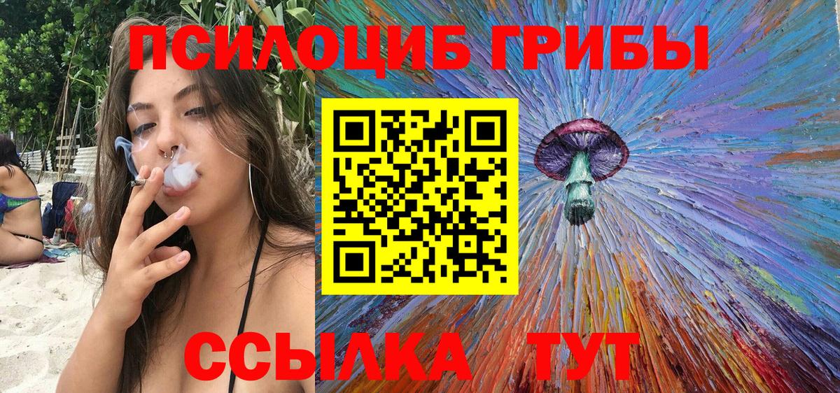 Псилоцибиновые грибы мицелий Реутов